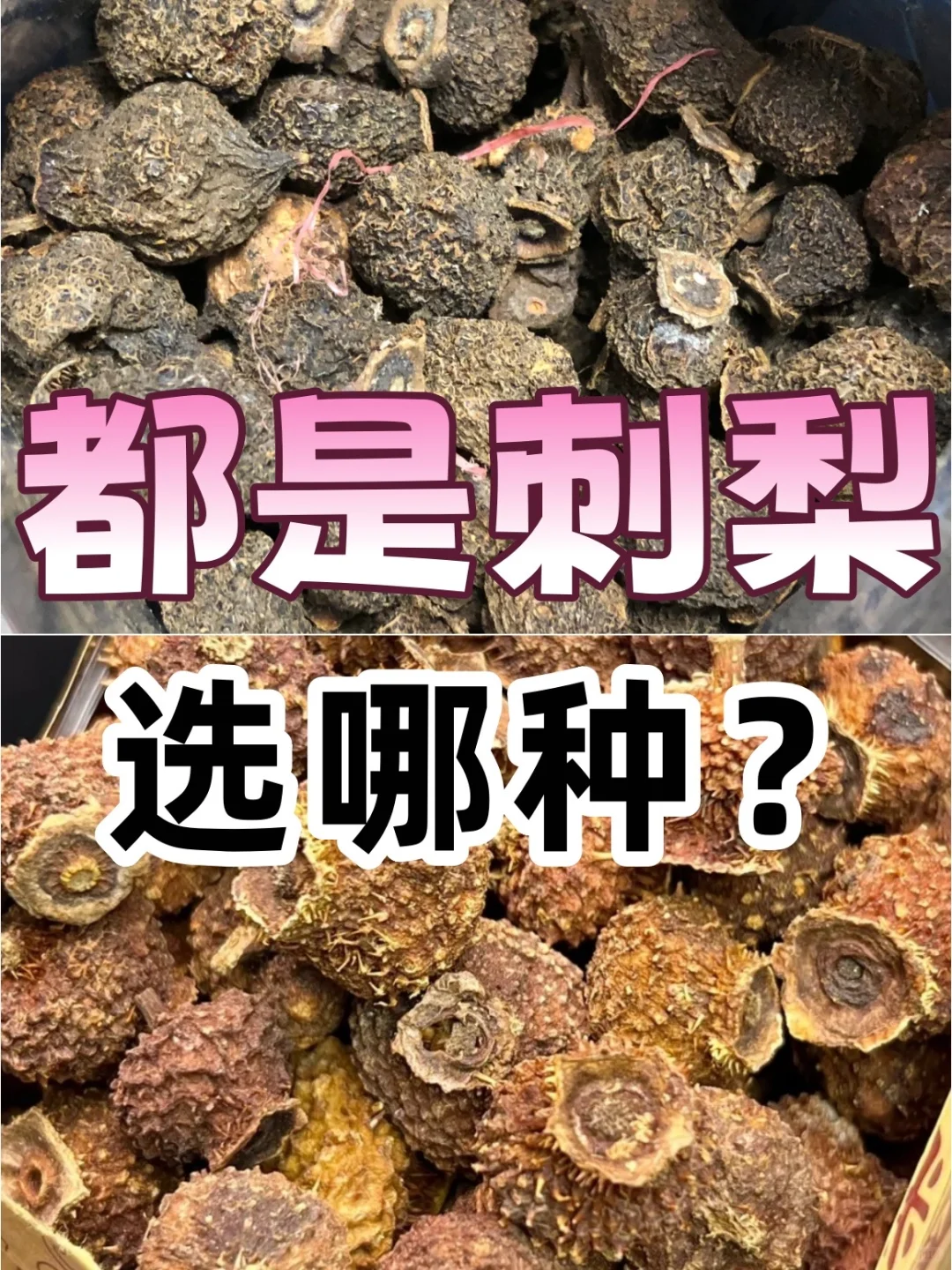 【真假刺梨大揭秘】买错=白花钱！！