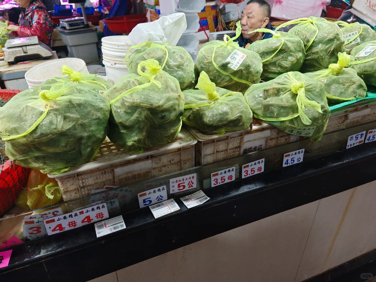 苏州山塘街菜市场吃新鲜现蒸大闸蟹