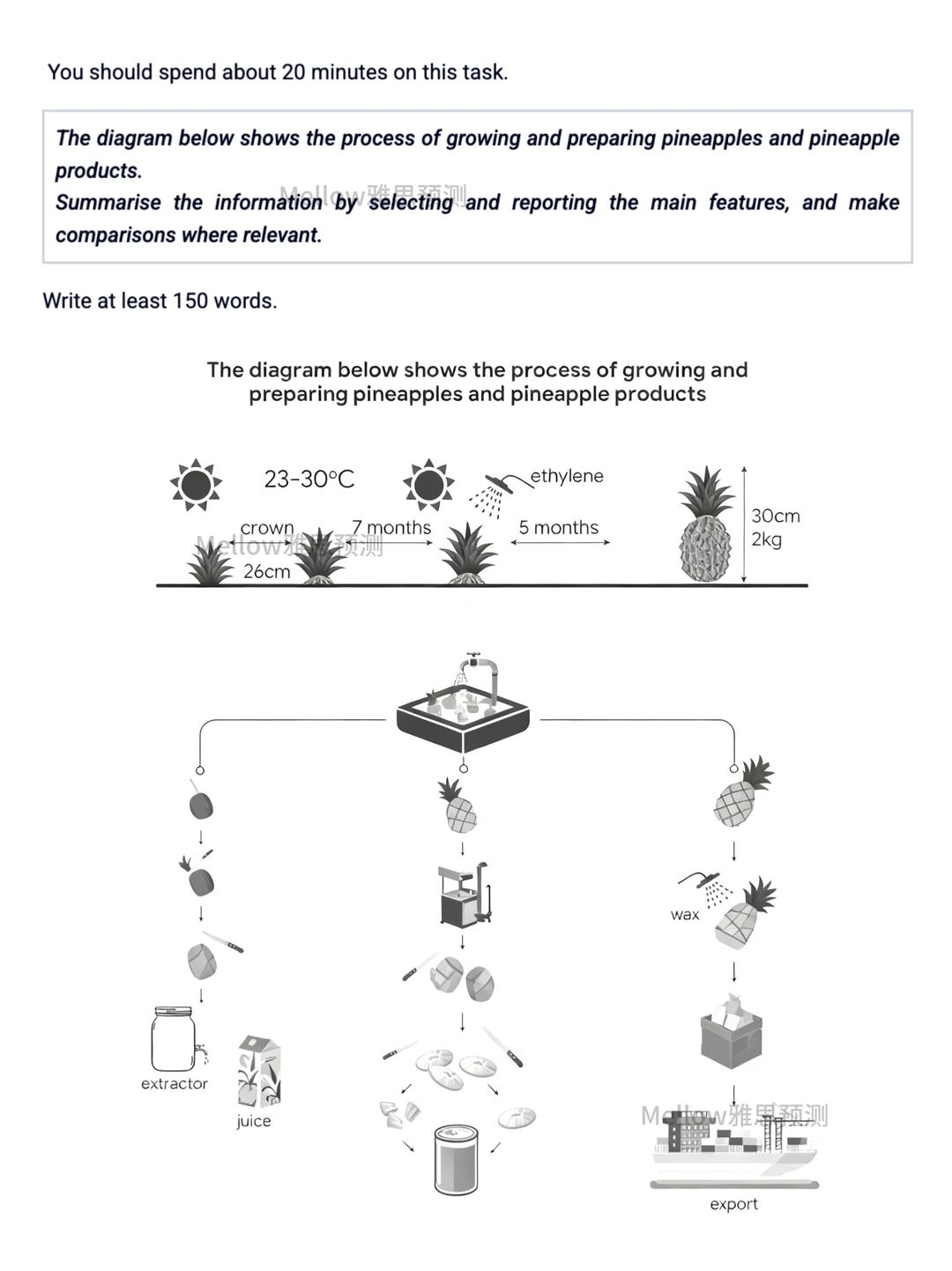 11月雅思写作原题重现，采菠萝?12月还要考