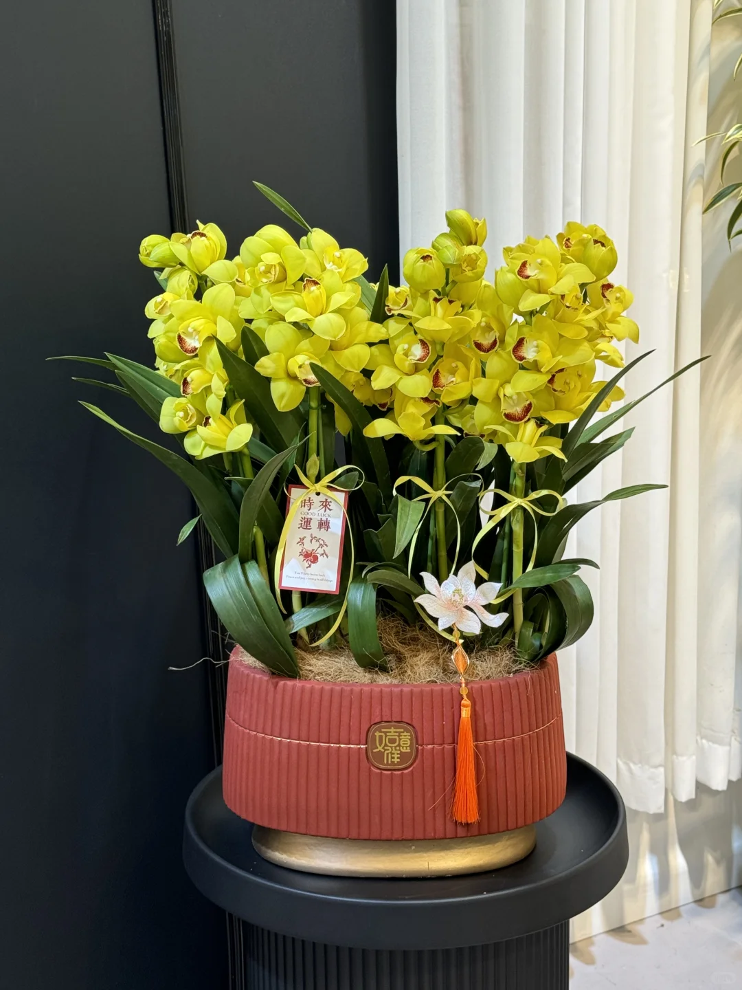 大花惠兰 最近的销冠?