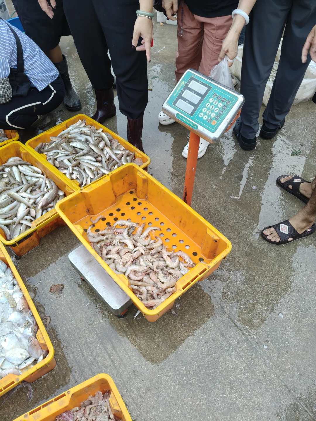 陵水本地人带路！免费代购海鲜+家庭式加工