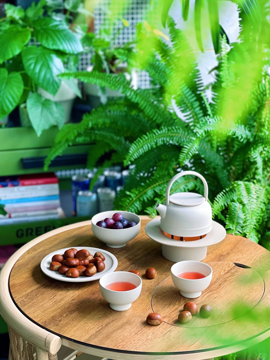 9m²小森林｜跟大家聊聊我家阳台的植物选择