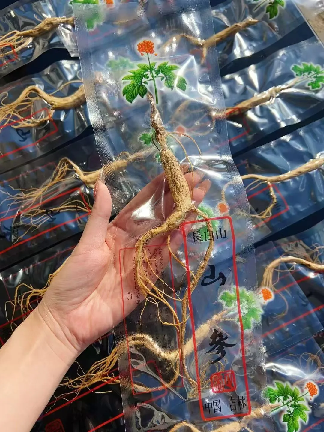 10年林下参20元一根