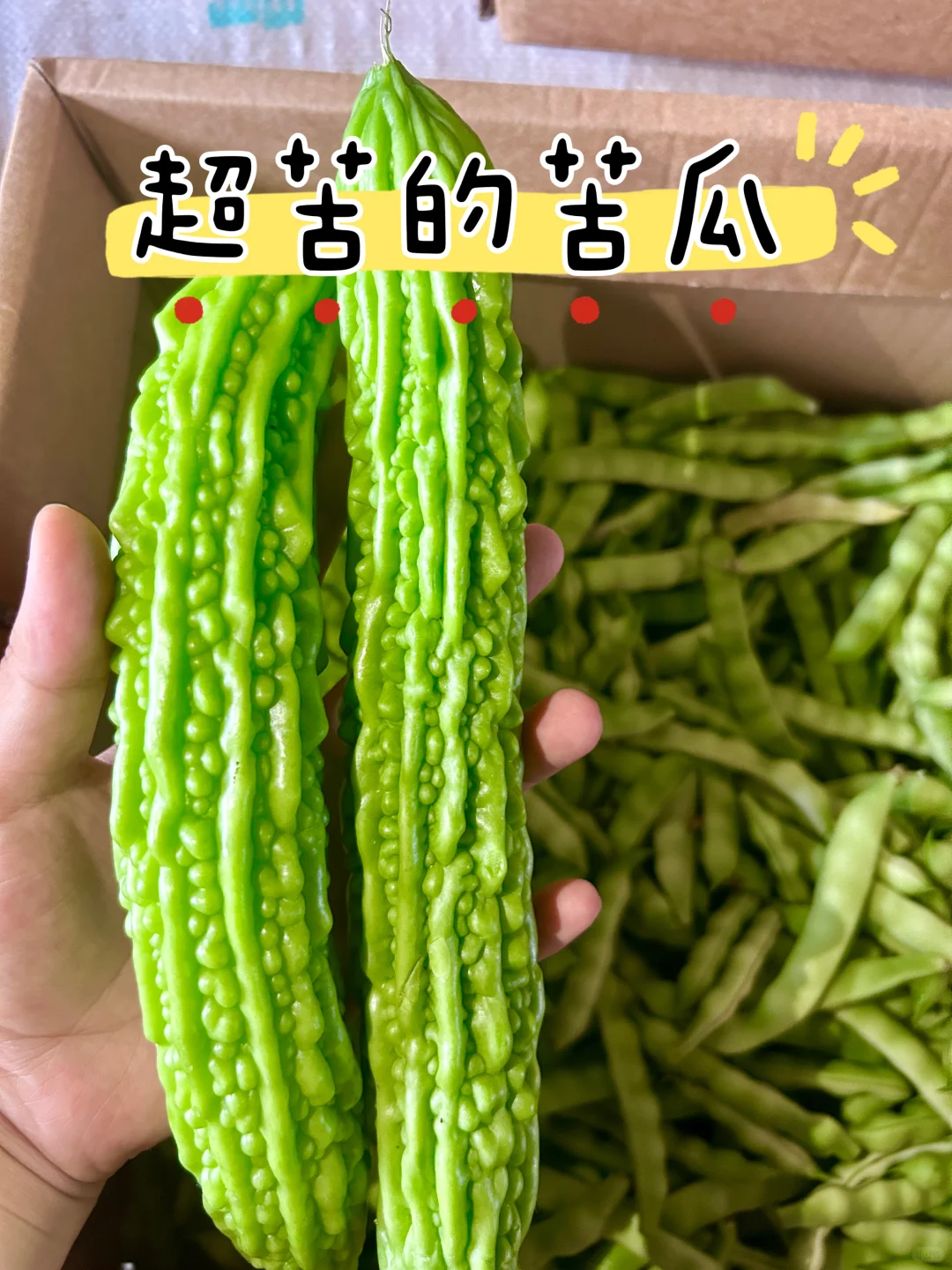 每天10元，给娃吃带泥土味的纯绿色蔬菜