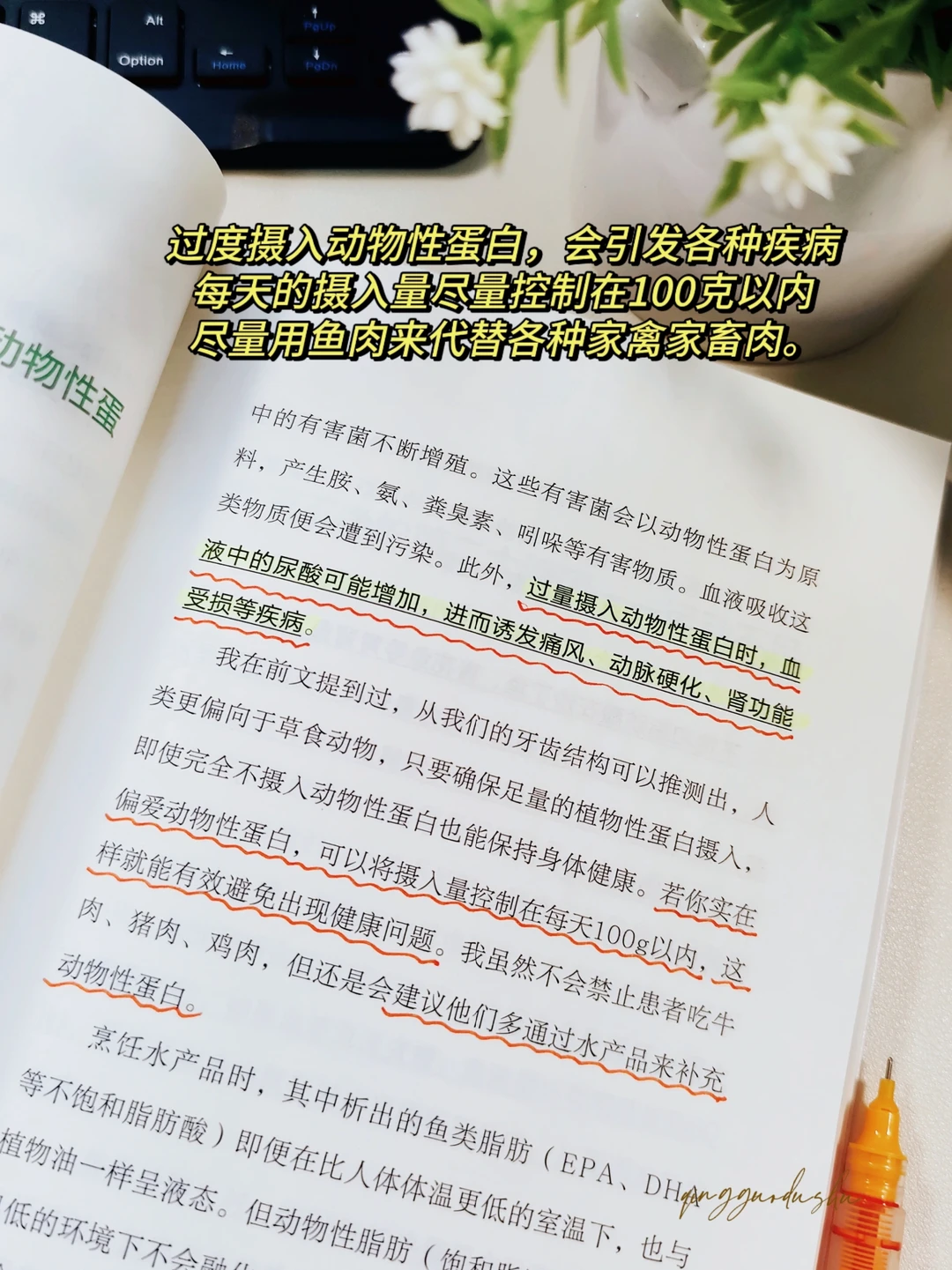 如果你不想生病，你该怎么吃？