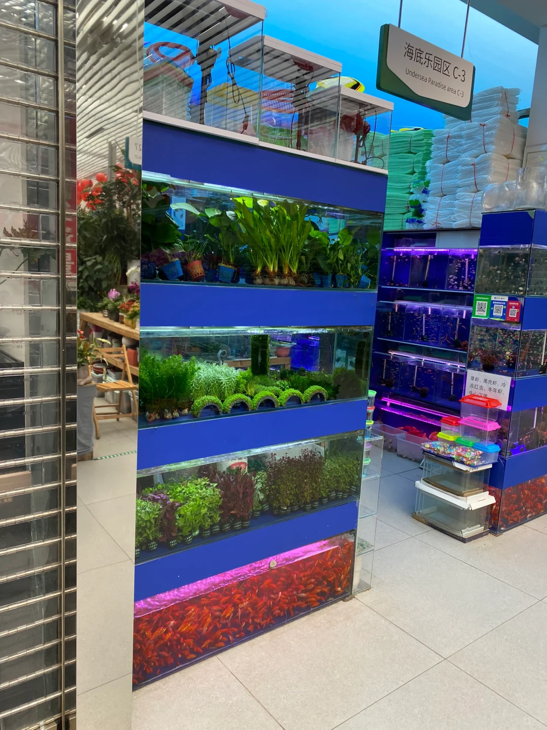 无意间发现一个宝藏花卉市场