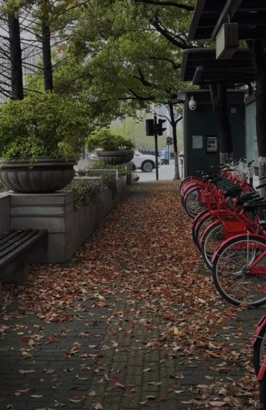 希望这个秋天的秋风，不急不燥，岁