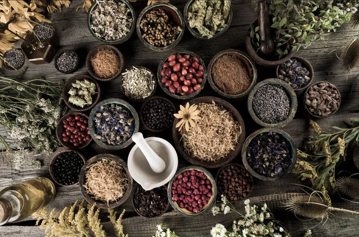 青岛药食同源进口代理所需文件及流程