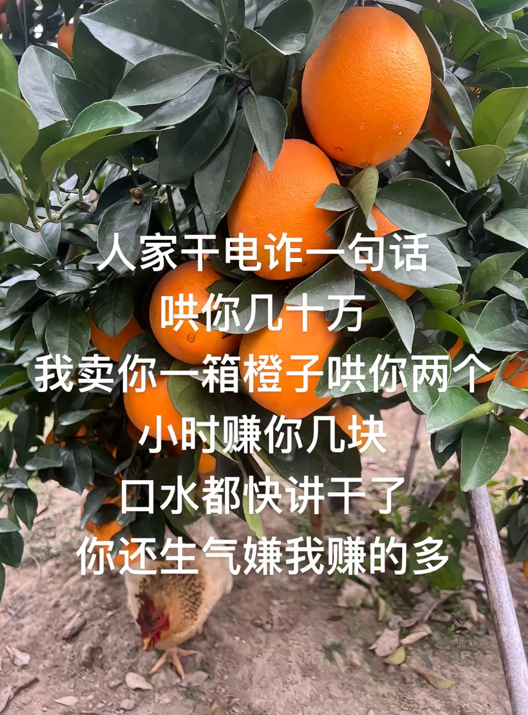 我只是一名大学生 我只是想帮家里分担而已