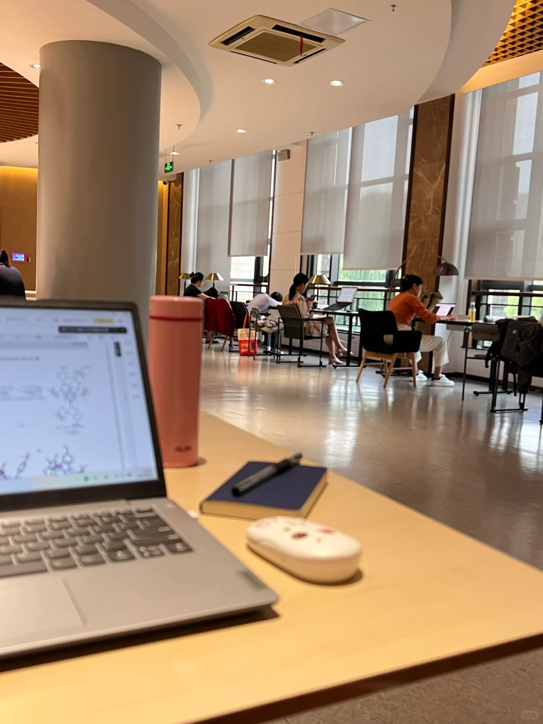 进组前图书馆坐一坐（我爱看洋文?全是感情）