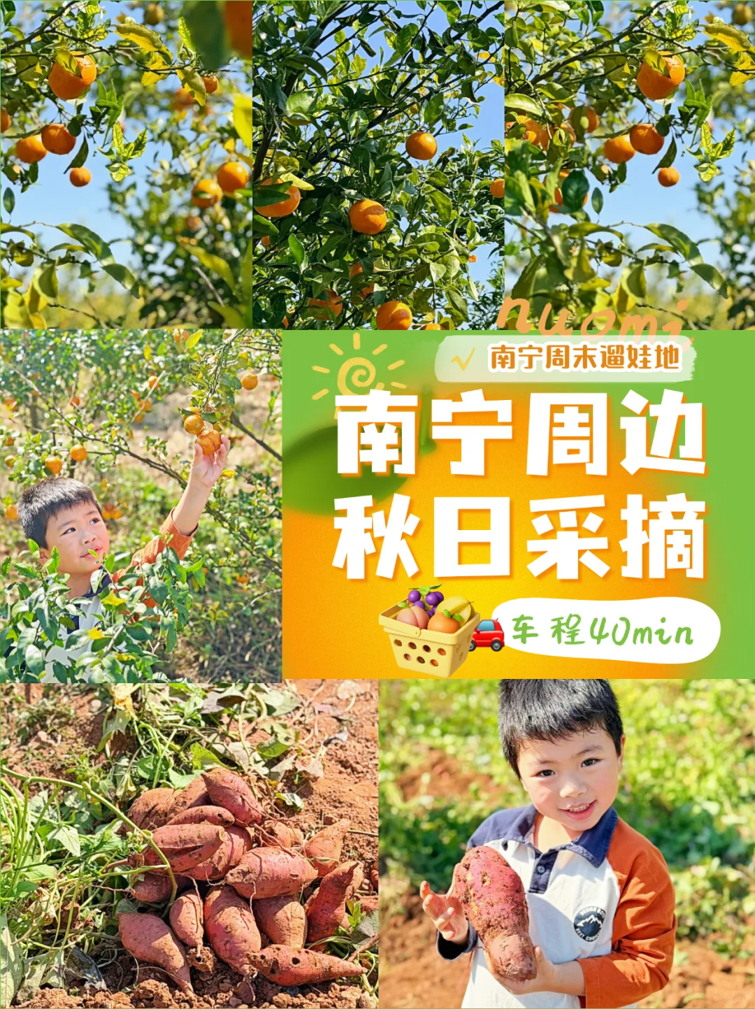 南宁遛娃收藏！10r??橘子➕红薯采摘自由