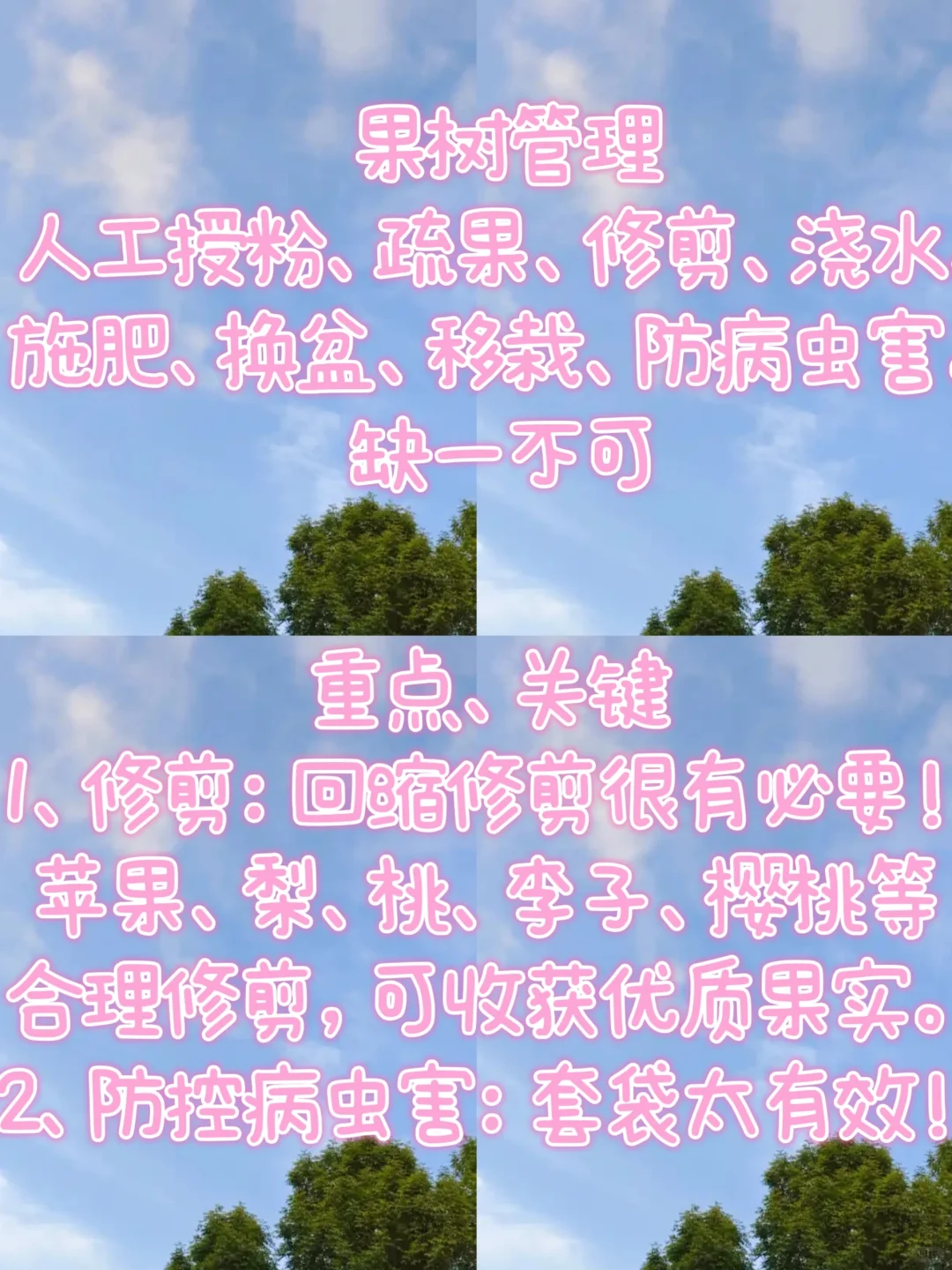 露台种植|初学者种果技巧，超实用轻松学