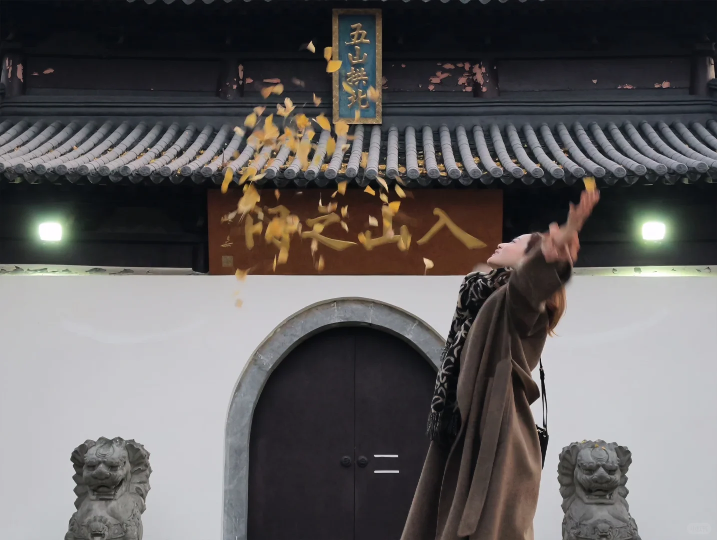 是洒银杏叶的季节啦！