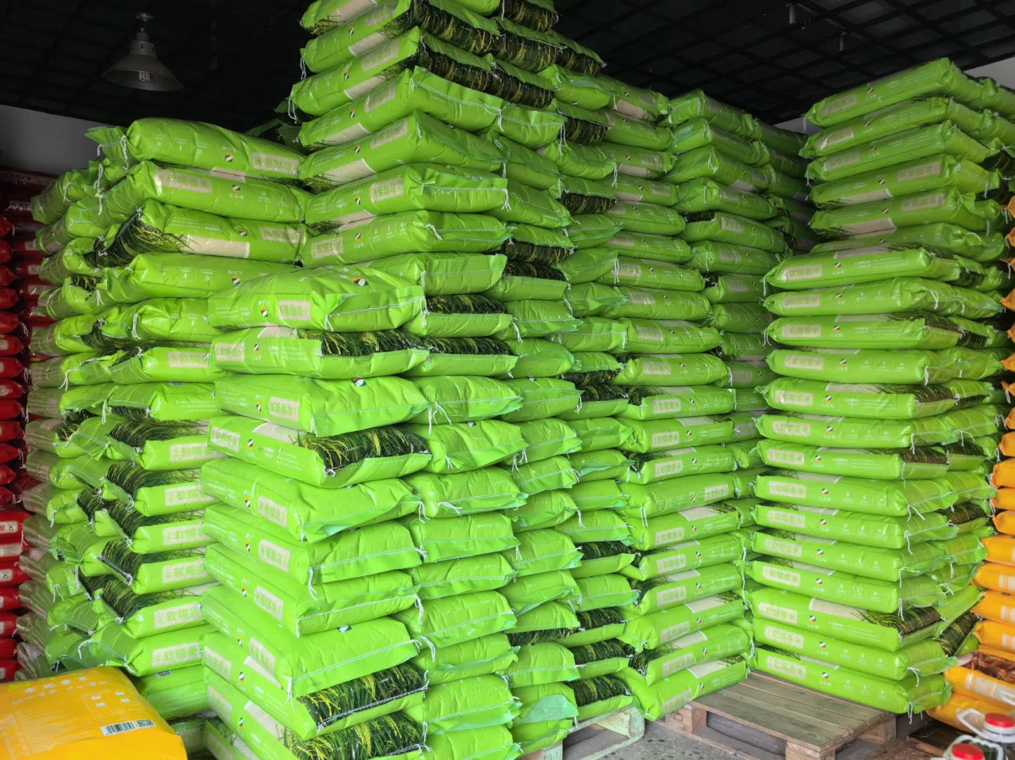 专业供应餐饮优质大