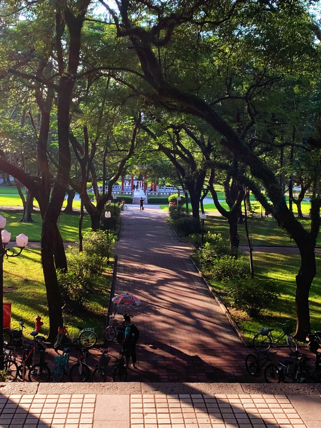 中大南校幸福度最高的自习位?