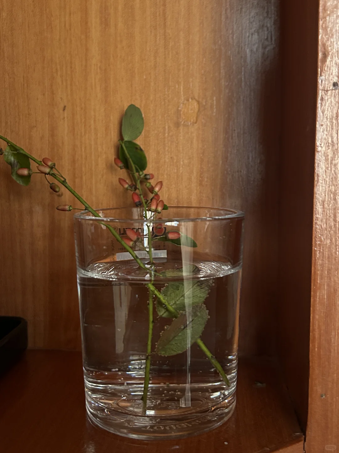 林业人出差日常