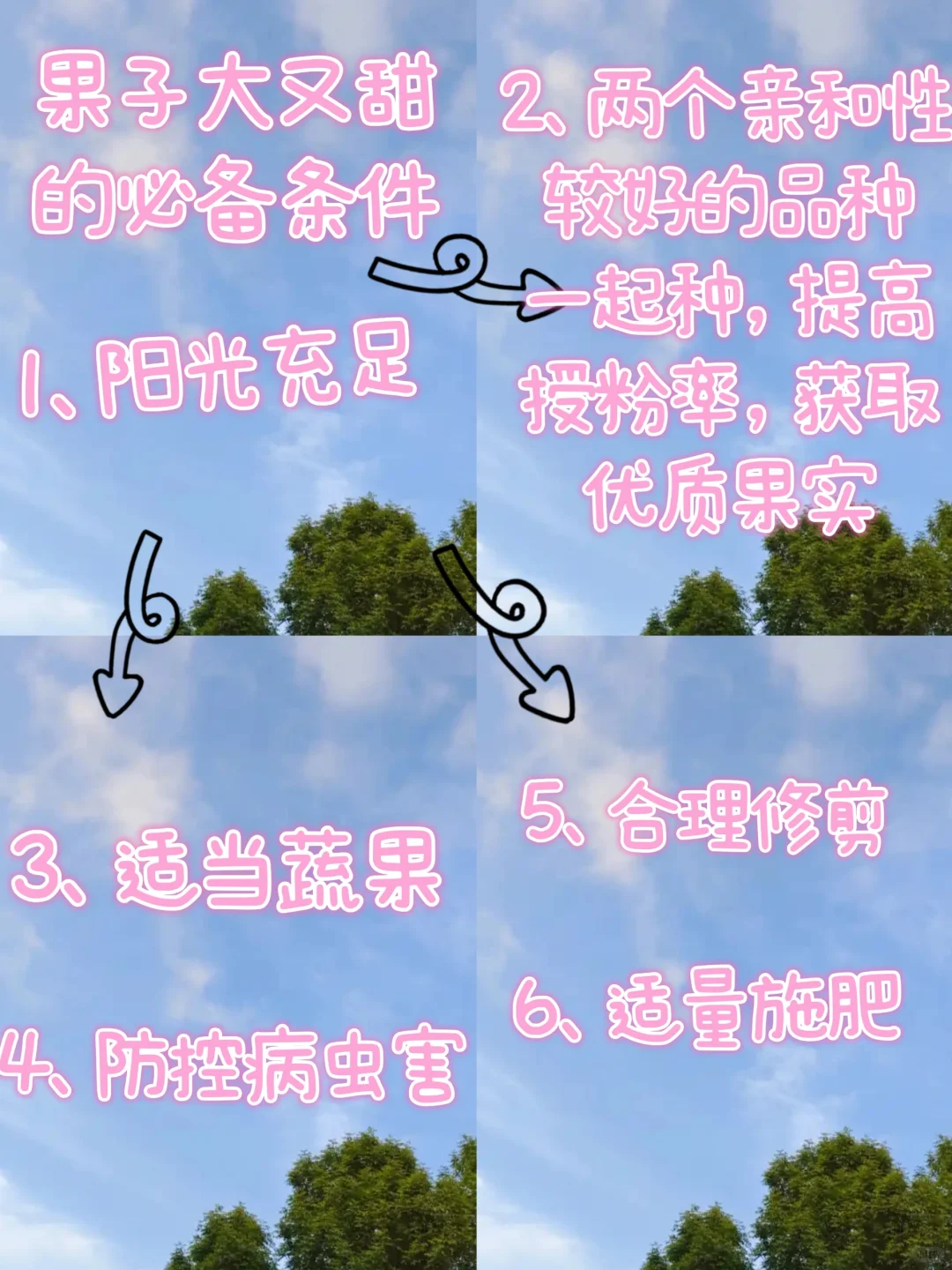 露台种植|初学者种果技巧，超实用轻松学