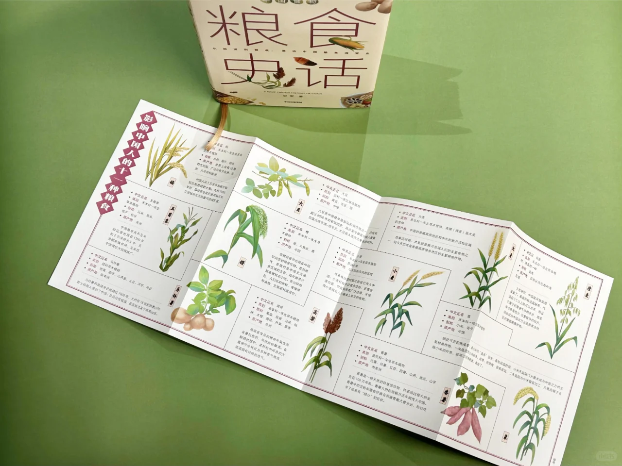 不吃主食就是没吃饭？中国人为什么爱主食？