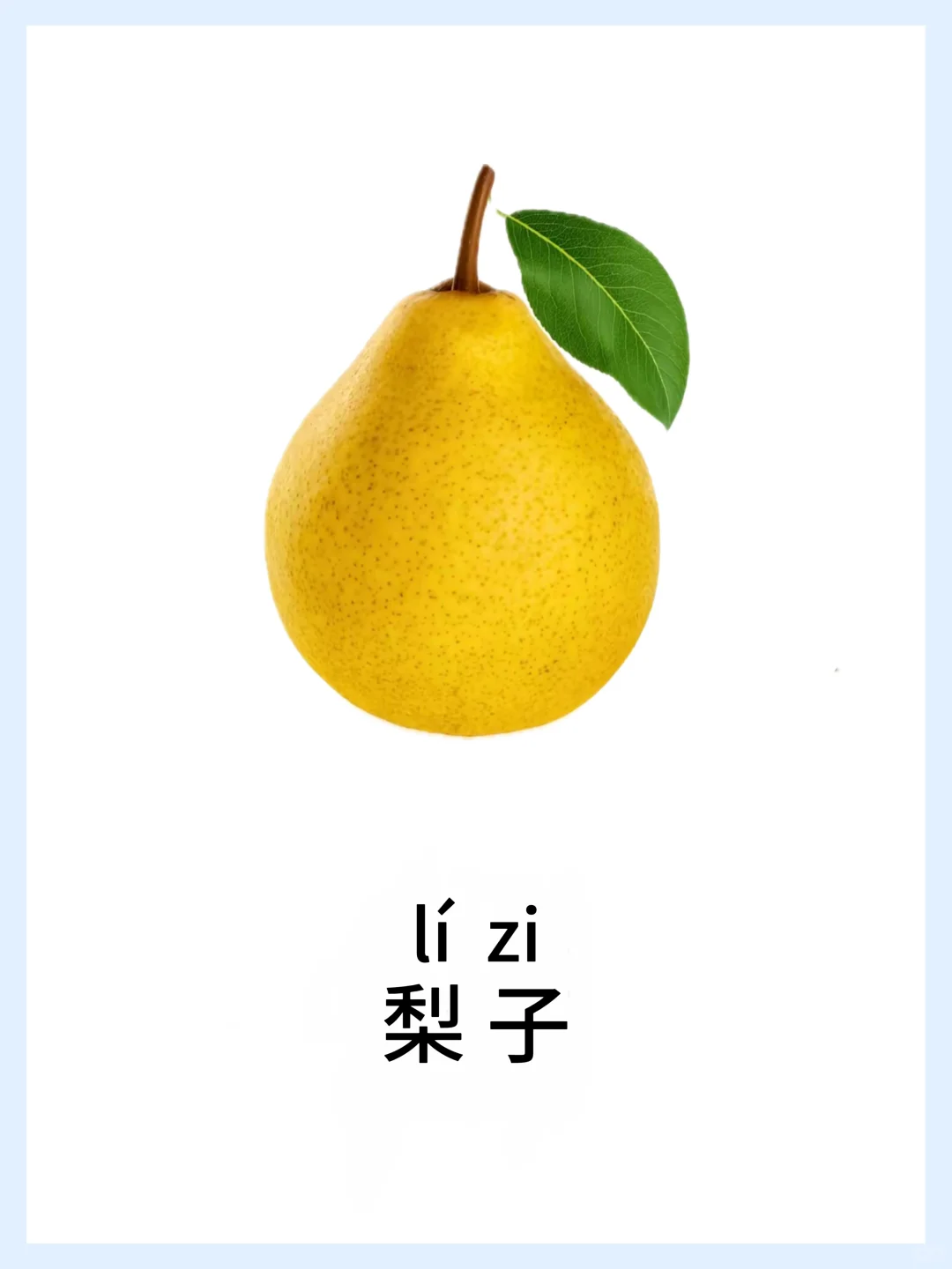 早教启蒙-水果篇，认知小课堂！