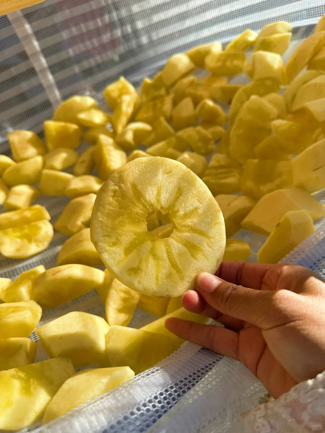 这苹果晒苹果干会不会有点浪费