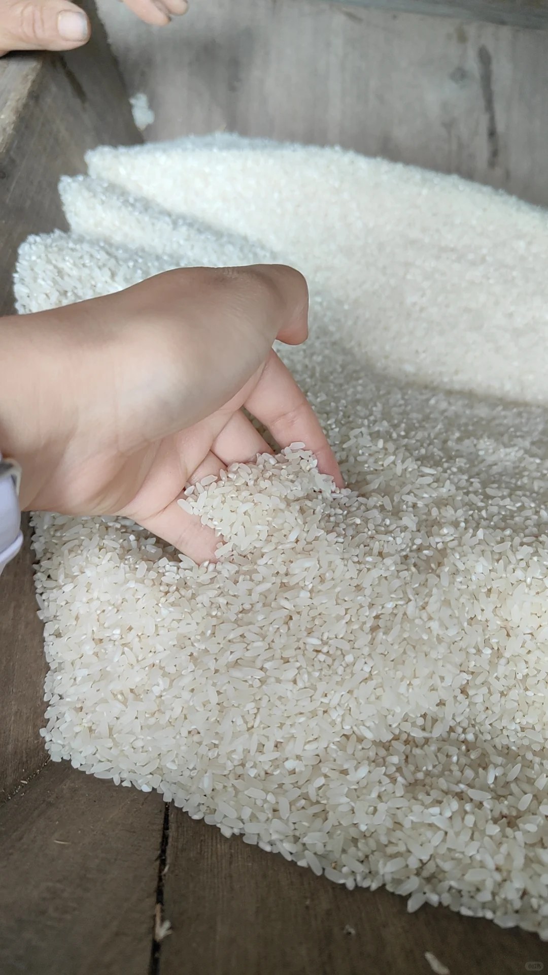 自家米纯天然无添加