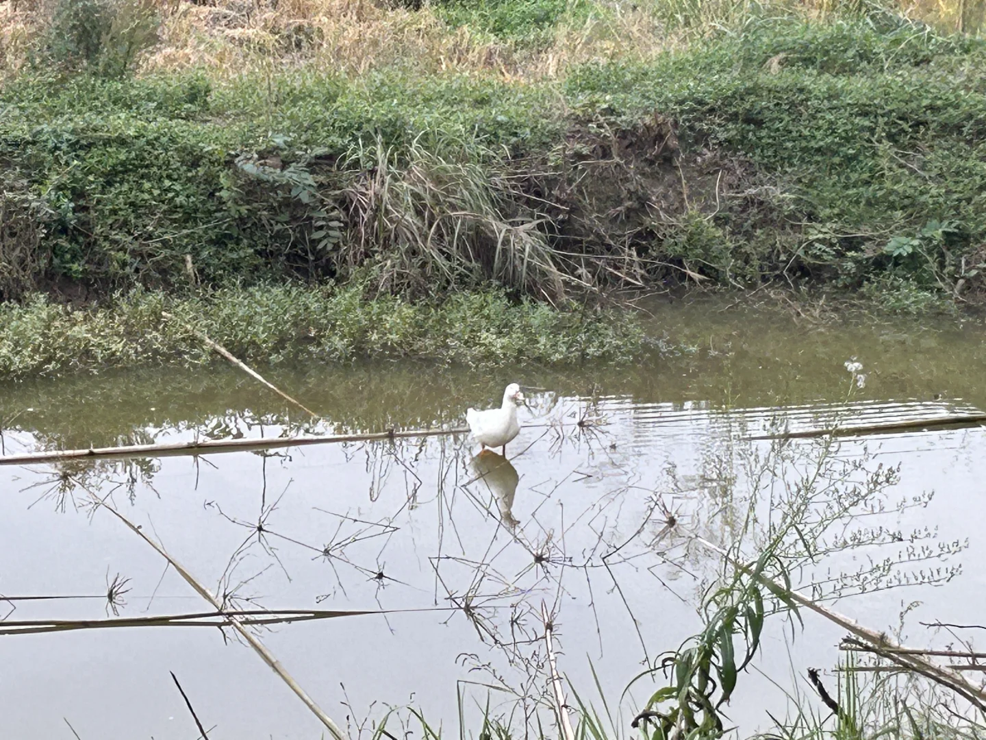 林业人出差日常