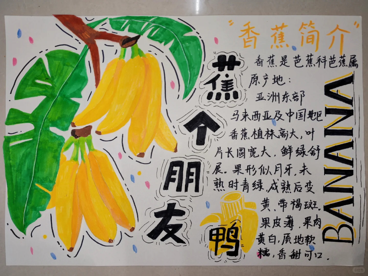 原创绘本《水果王国》学前教育美术期末作品