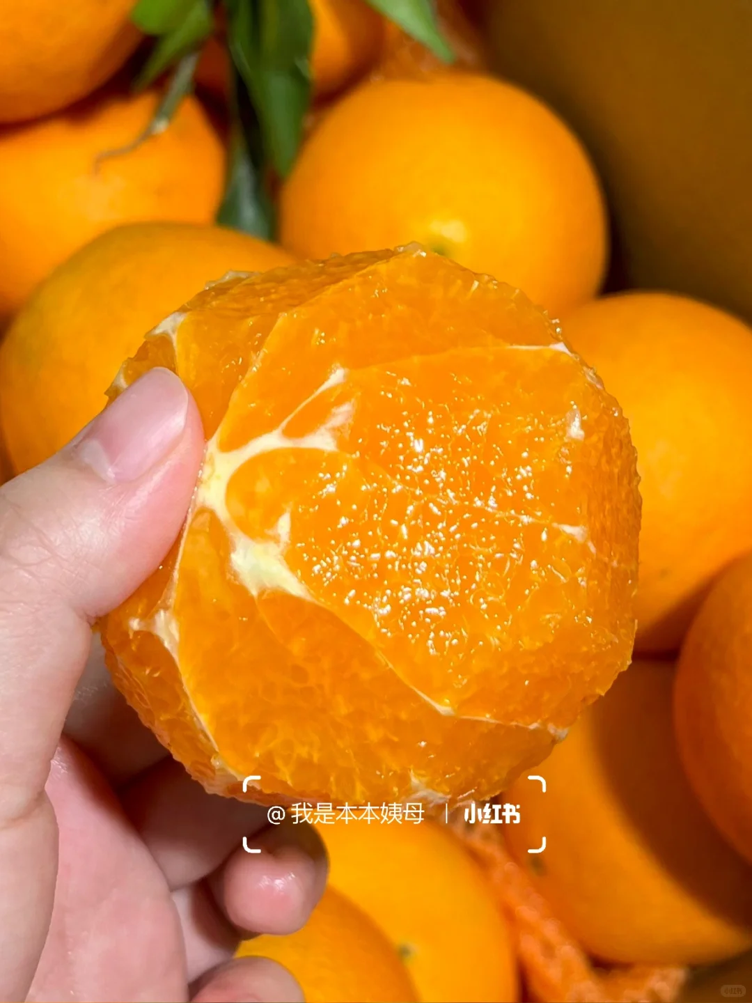 啊啊随便瞎买的橙子…巨巨巨好吃！爆甜没渣！！