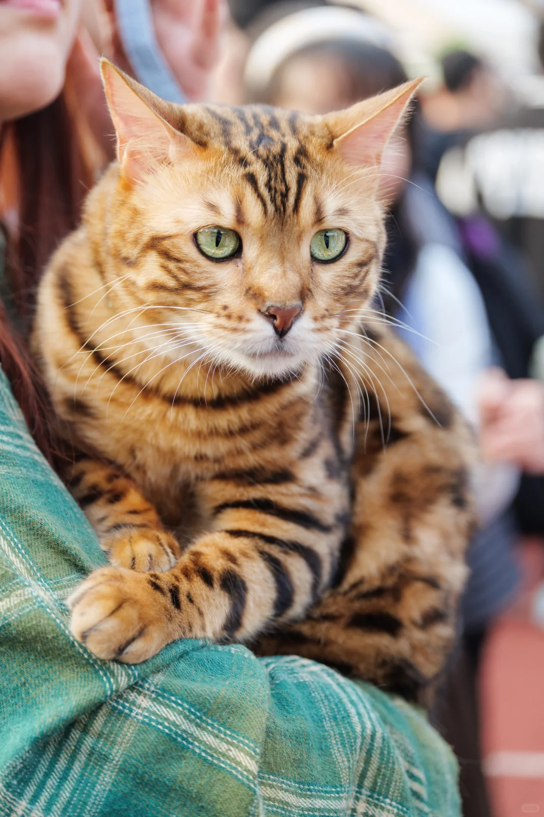 华南农业大学毛孩子Day
