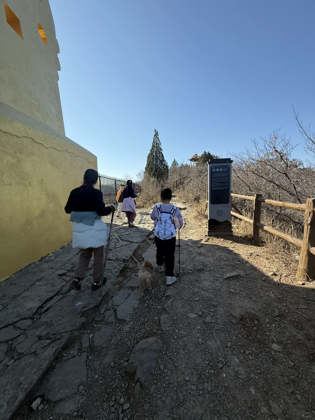 一周一山⛰️-第五十五山-达摩像.少林寺