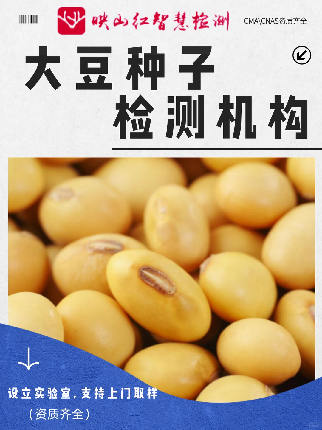大豆种子检测机构，大豆种子发芽率检测中心