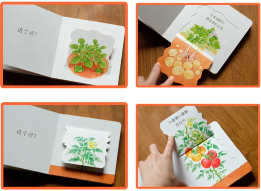 《好好吃的水果蔬菜》