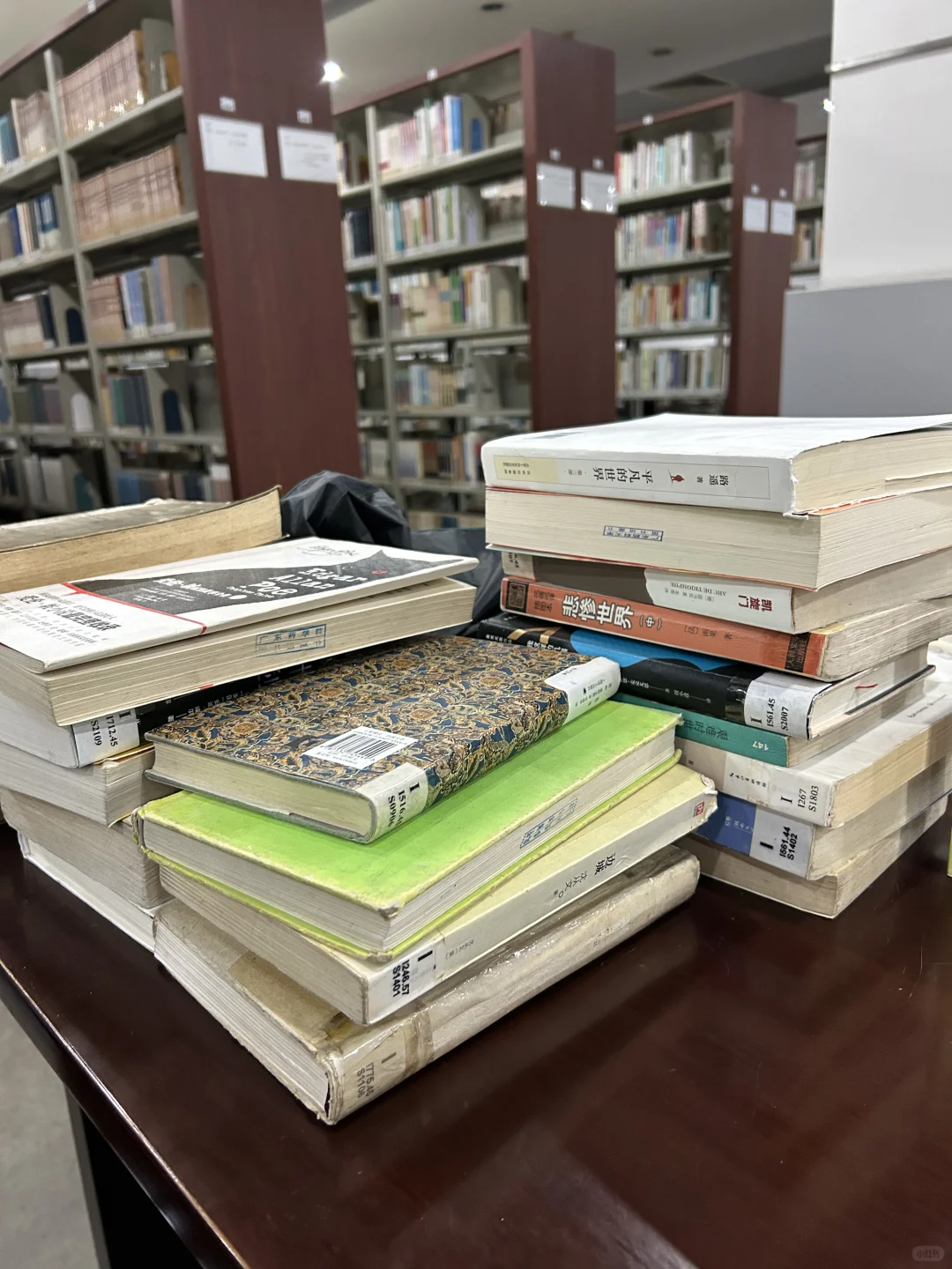 就这样一直看书