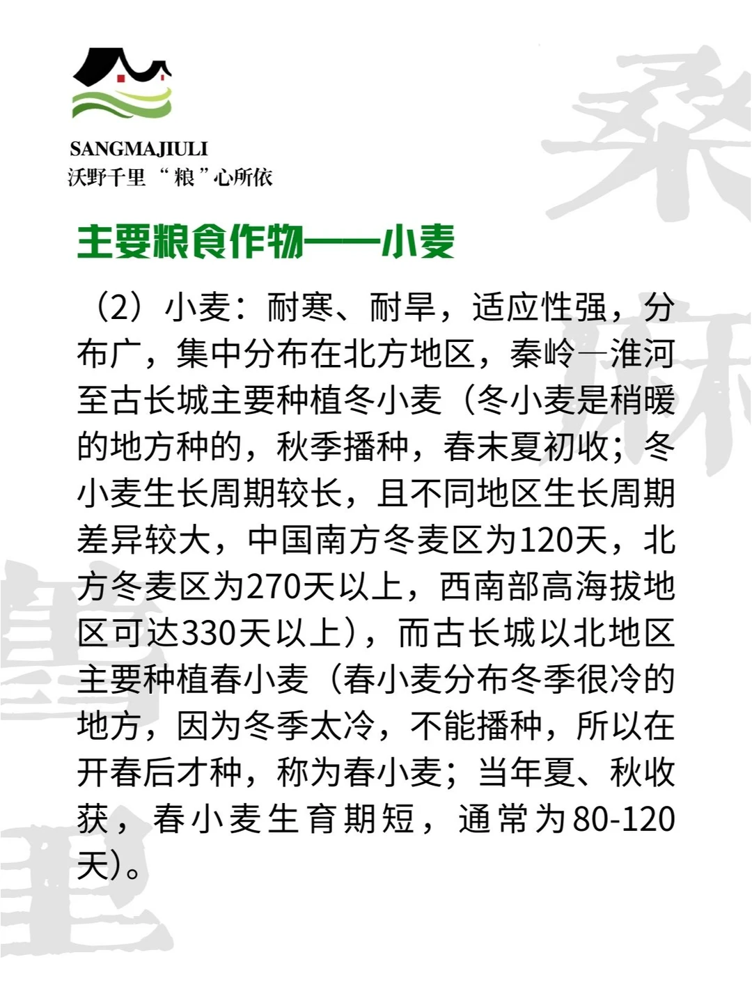 ?中国粮食作物分布,探索粮食的丰饶之地