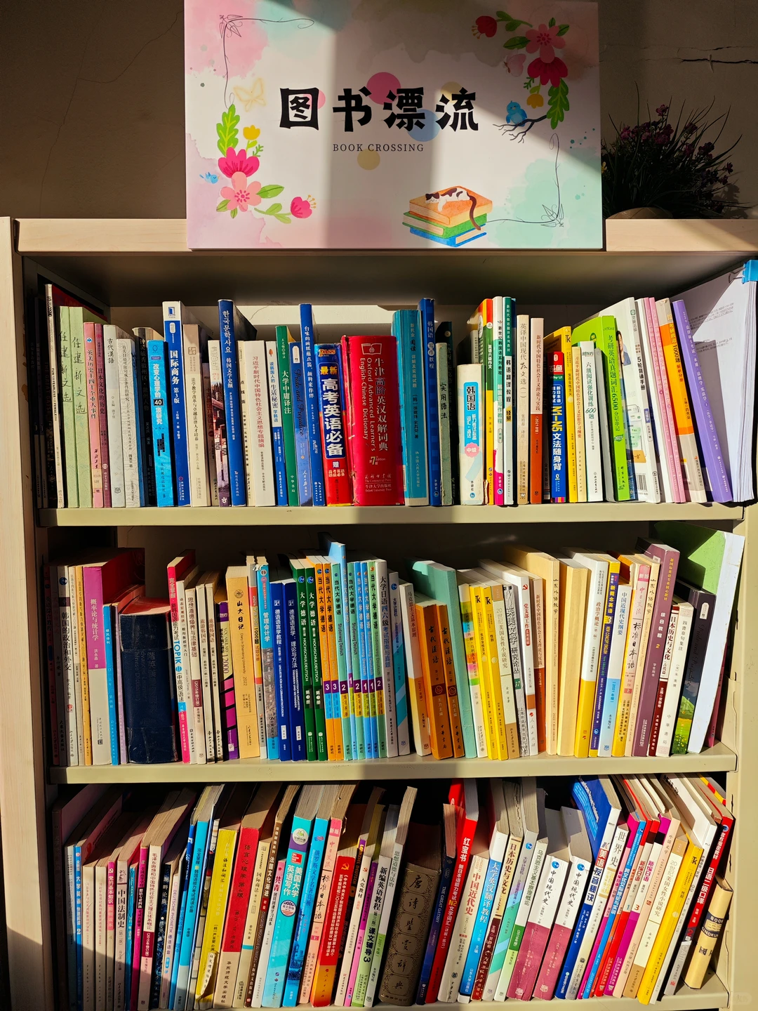 山大数院之爱上洪楼图书馆