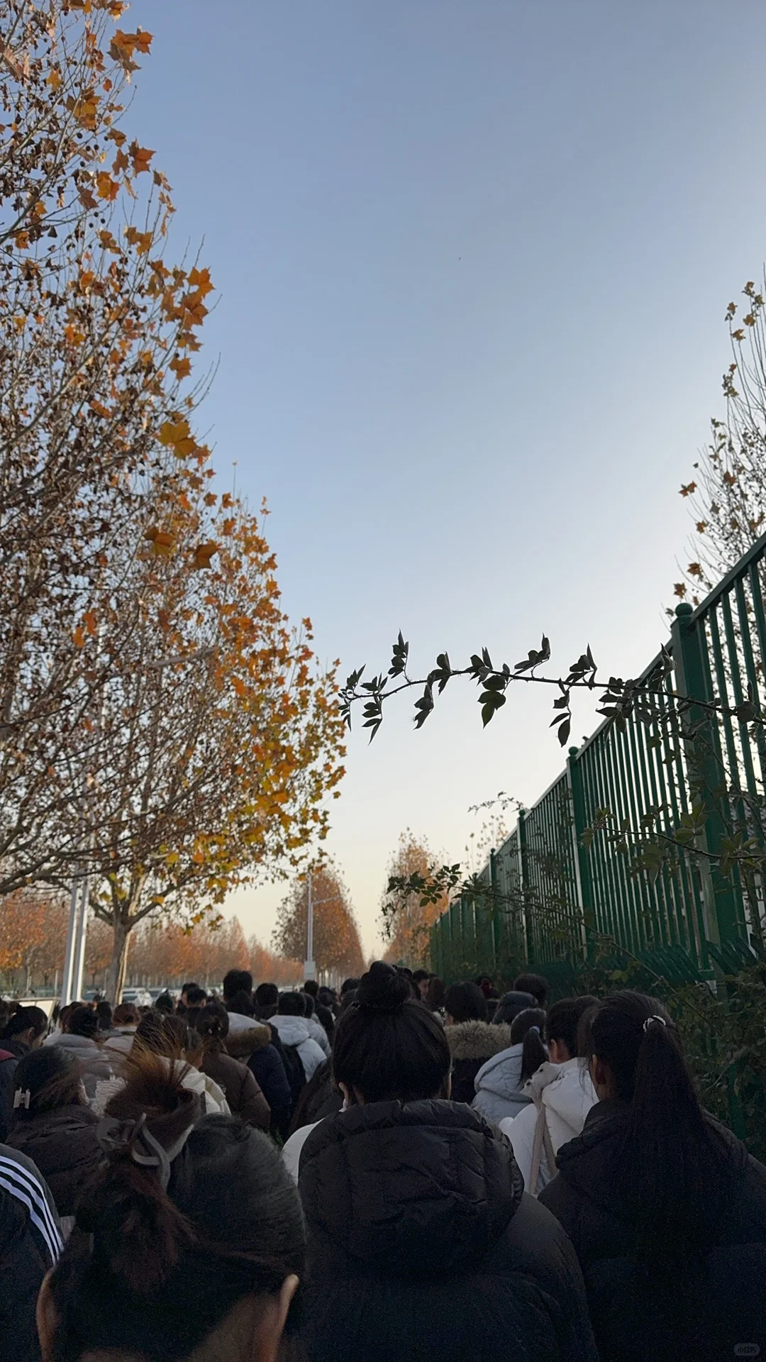 教资考试美甲影响吗