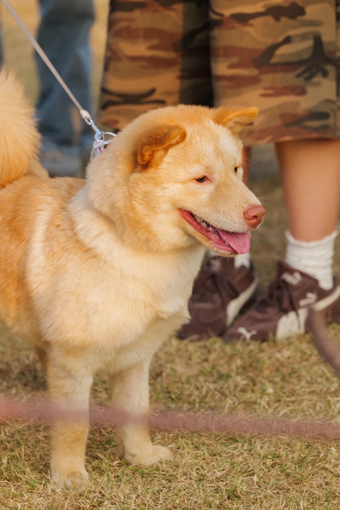 华南农业大学毛孩子Day