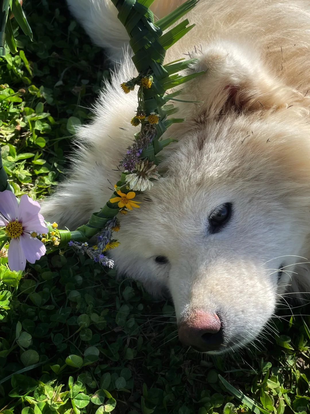 在自然里轻轻走走 就有丰富的收获和答案