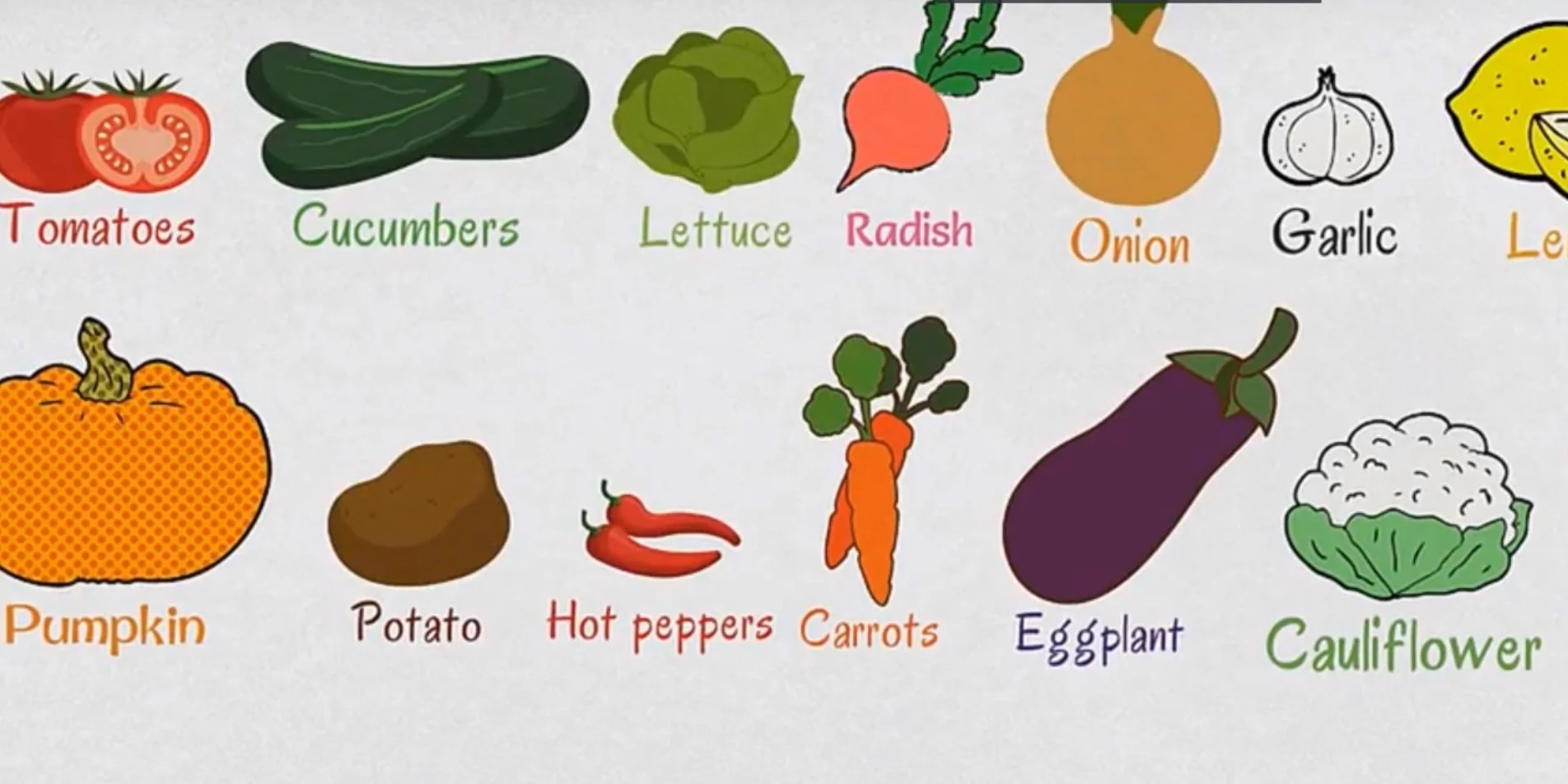 常见水果蔬菜（一）