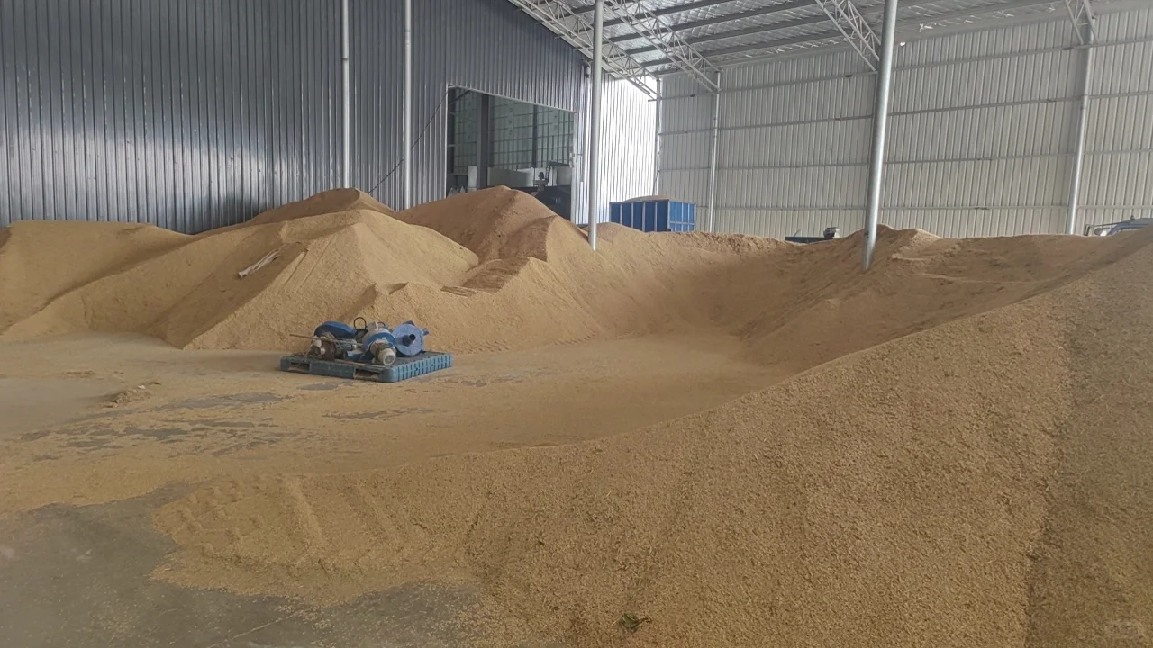 贸易带量农产品稻谷