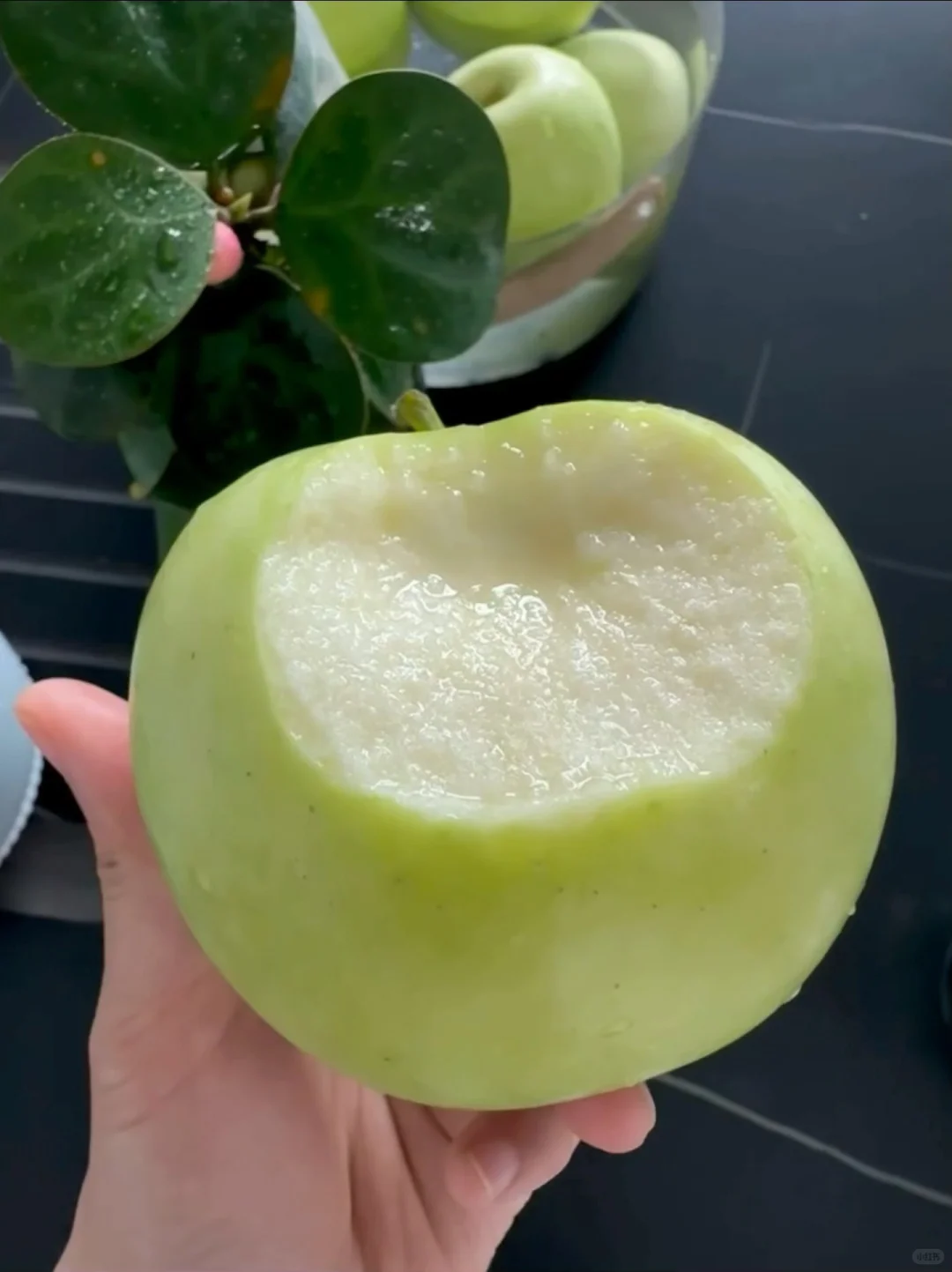 爷爷种的青苹果,不到十块发一大箱