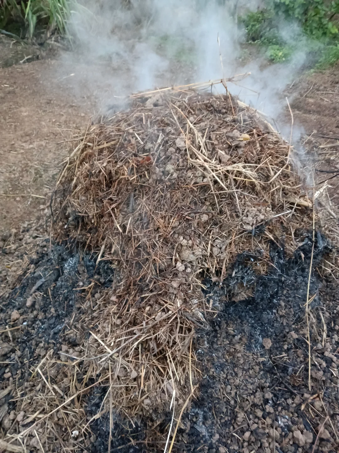 老法子种出的天然味道