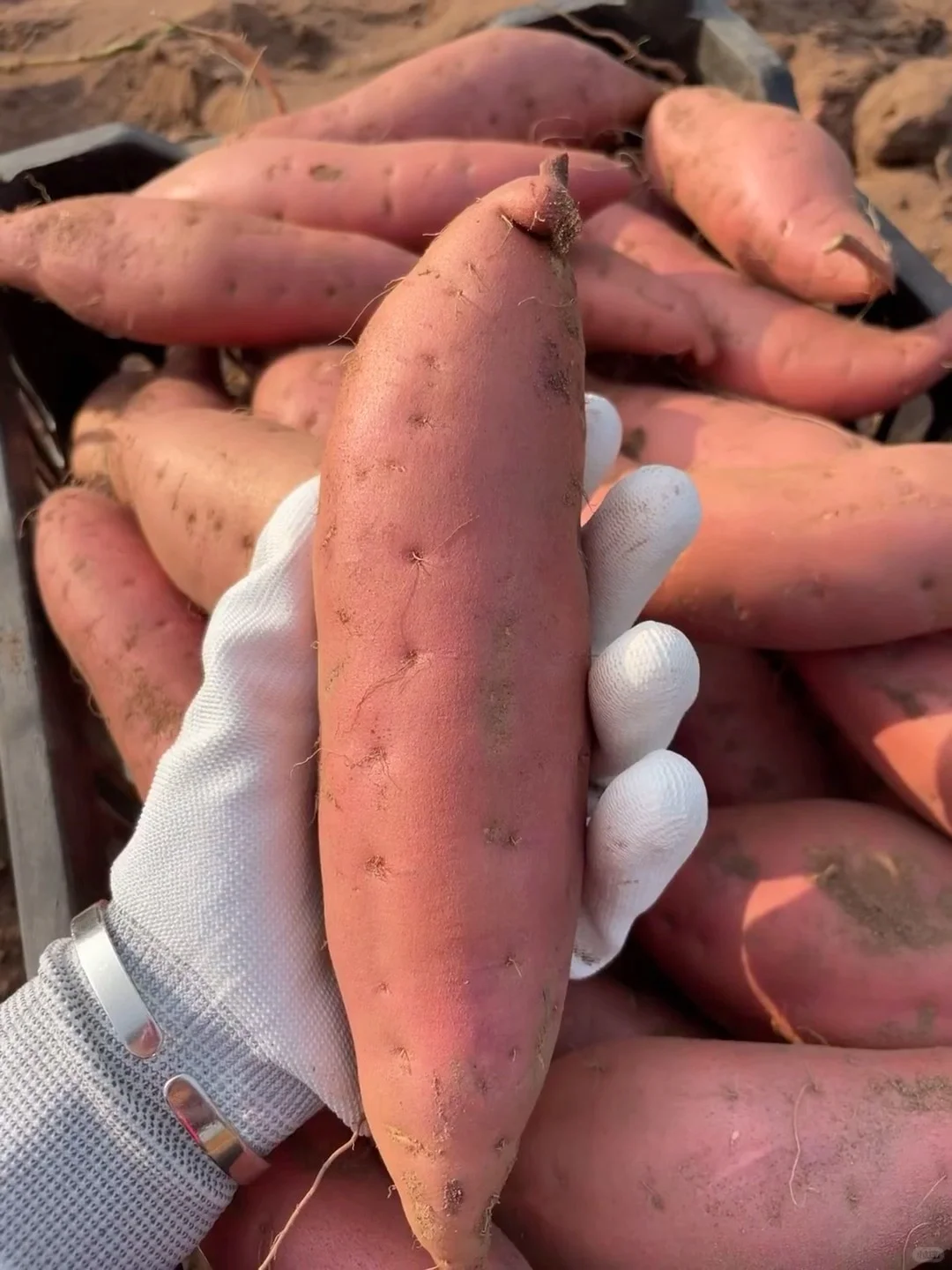 姐妹们给我地址！！我给你们寄！！不要邮费！！