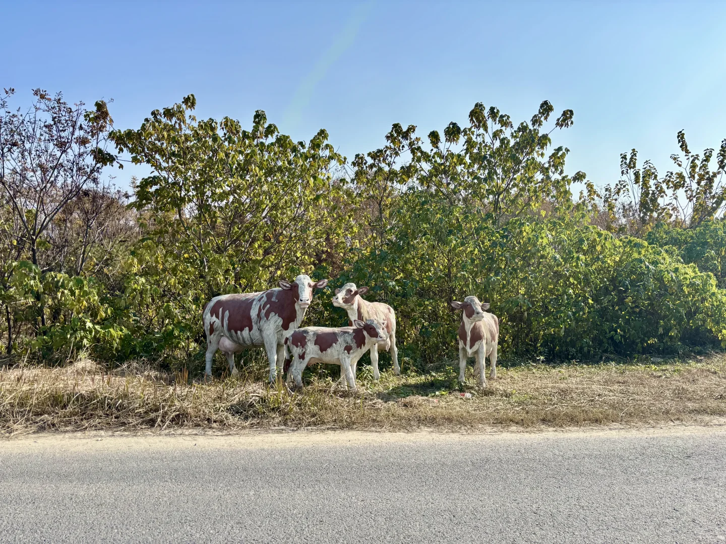 杭州周边遛娃地之—