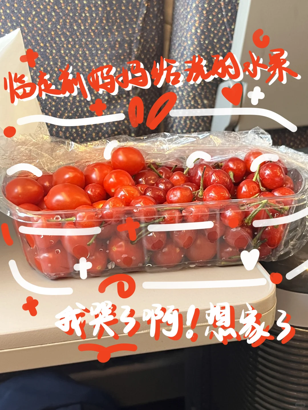 土のplog｜?夏天的水果是来报恩的吧?