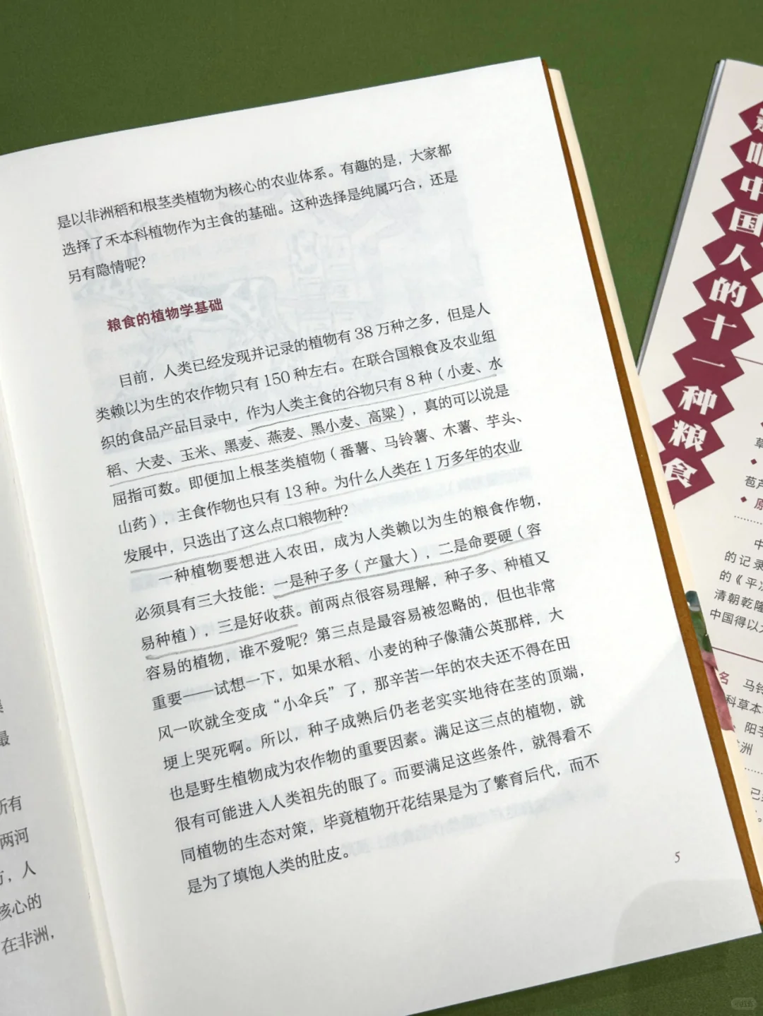 不吃主食就是没吃饭？中国人为什么爱主食？