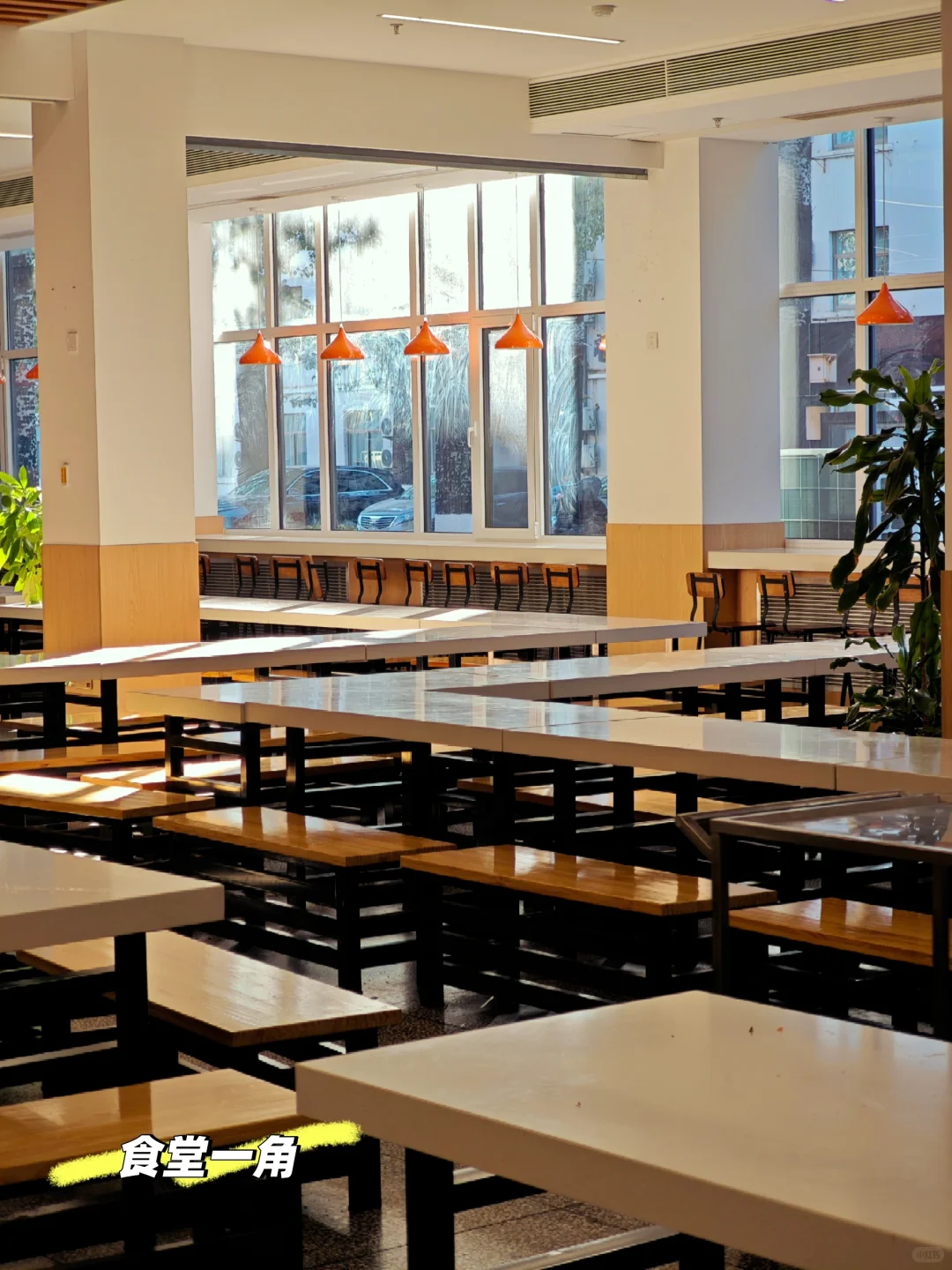 山大数院之爱上洪楼图书馆