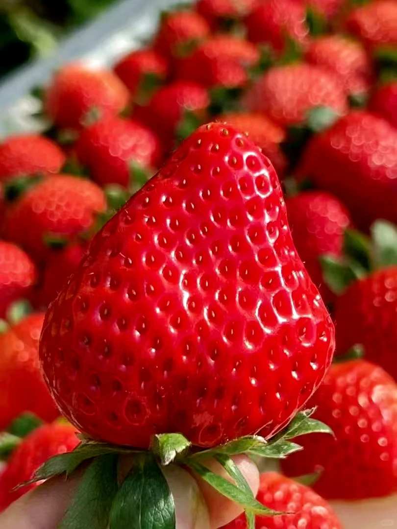 千万不要买/你再忍一忍/马上大降米