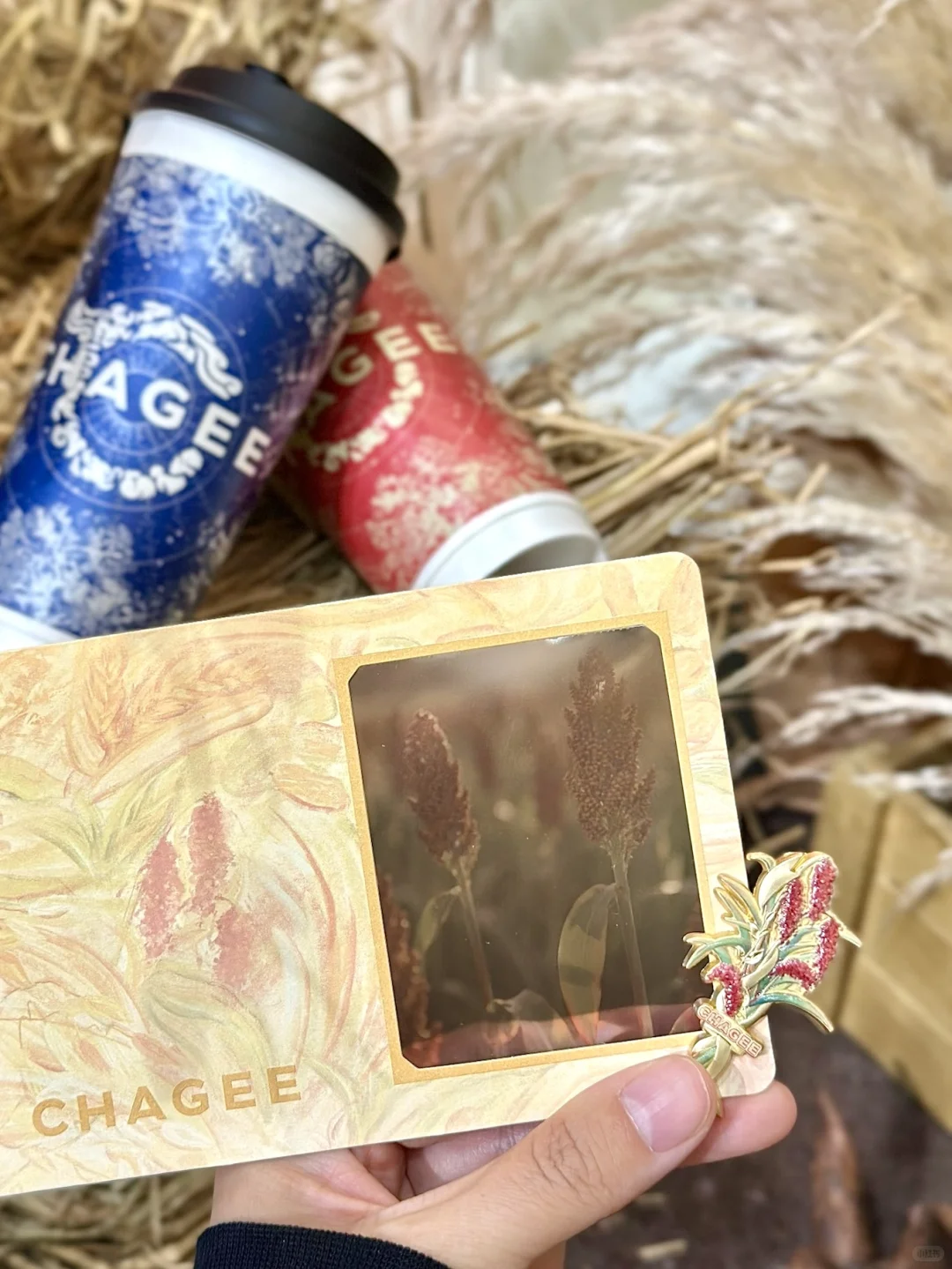 看看茶姬的粮食日周边?缩小版农作物超可爱