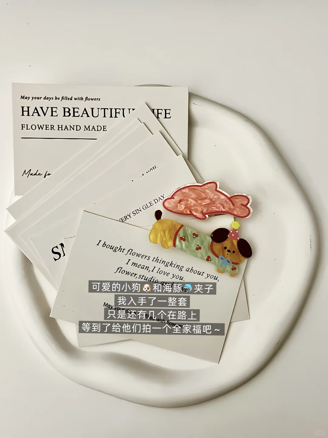 新人博主Day7｜开通蒲公英后收到2个?作‼️